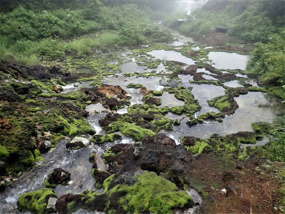 チャツボミゴケ公園（穴地獄）