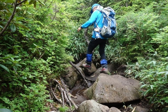 苗場山山頂部の歩道