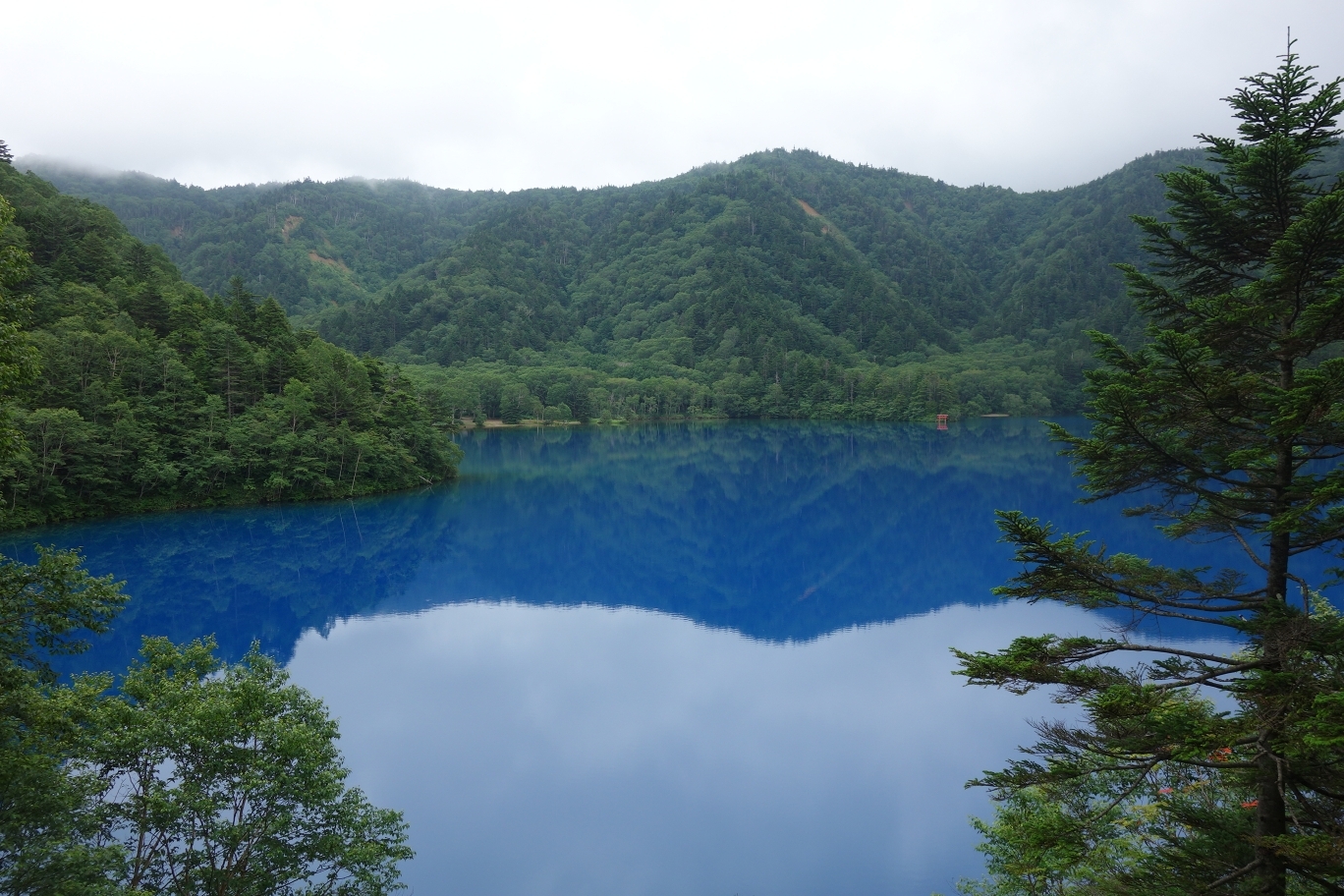 大沼池の青い水の色