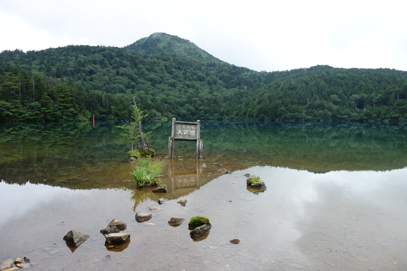 大沼池の青い水の色