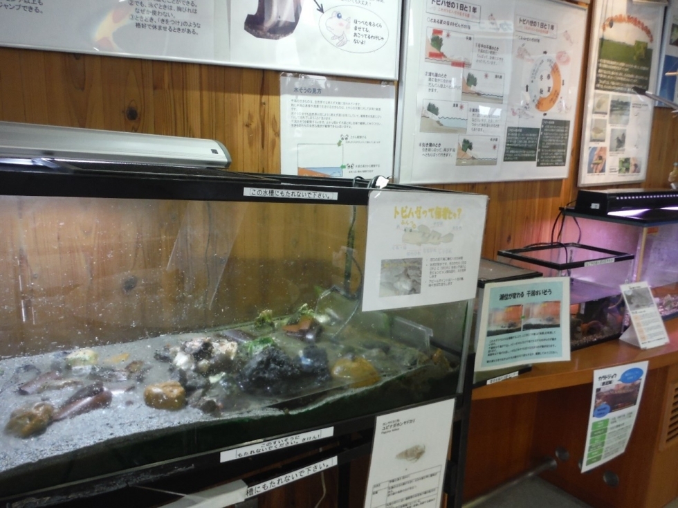 藤前干潟水族館