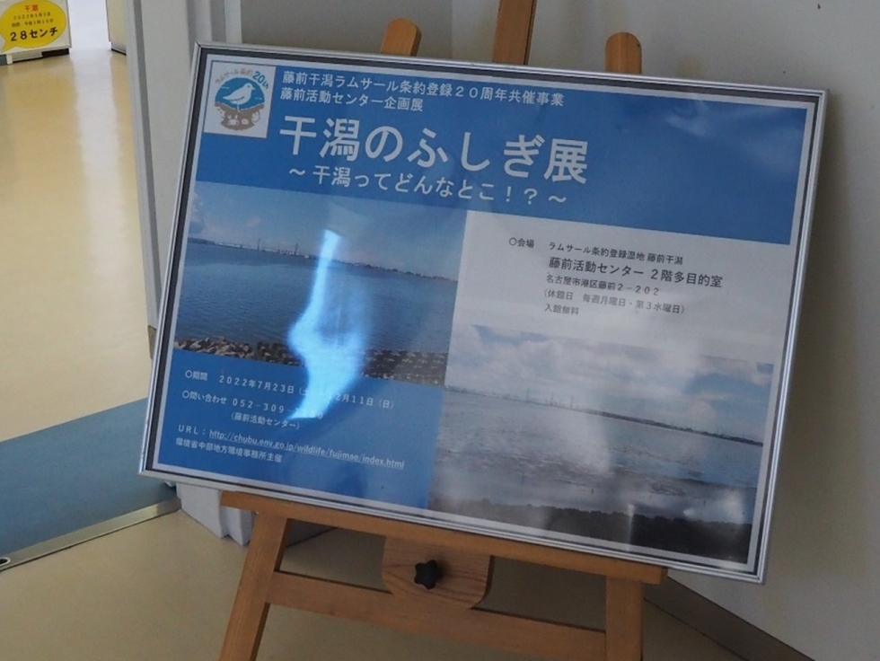 藤前活動センター企画展「干潟のふしぎ展~干潟ってどんなとこ!?~」
