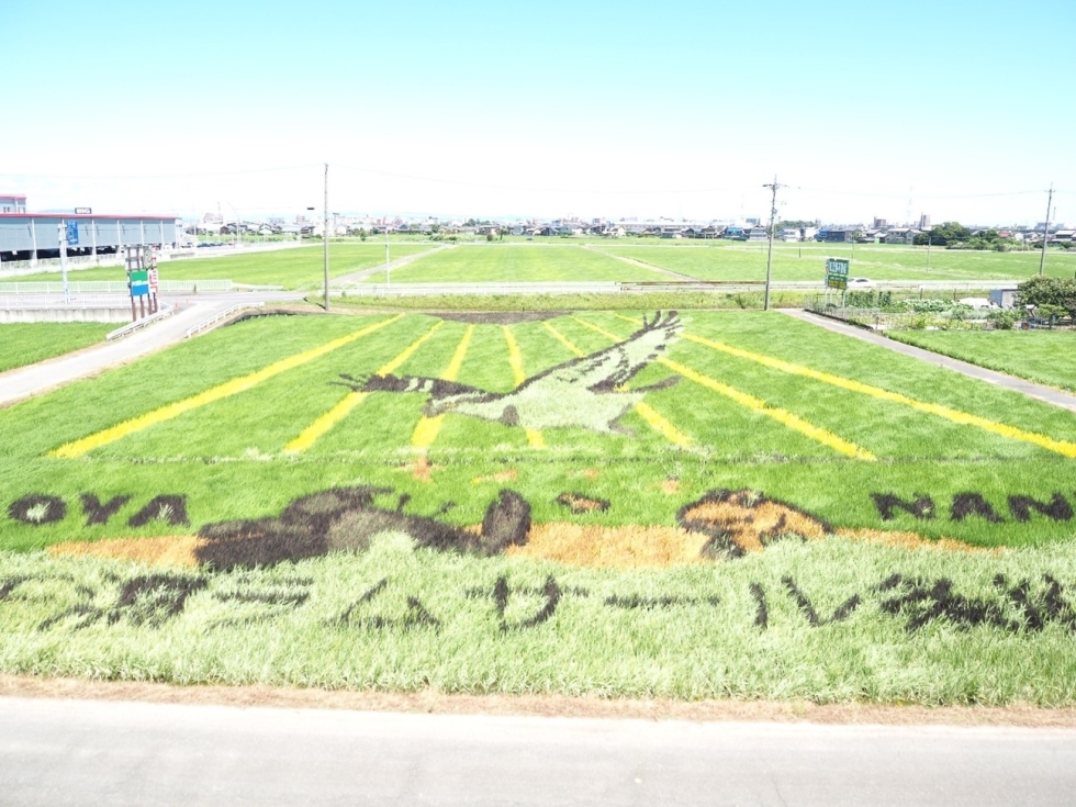 南陽町 田んぼアート