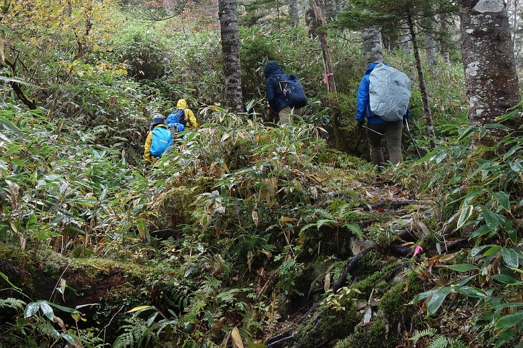 要所に目印のテープが巻かれている