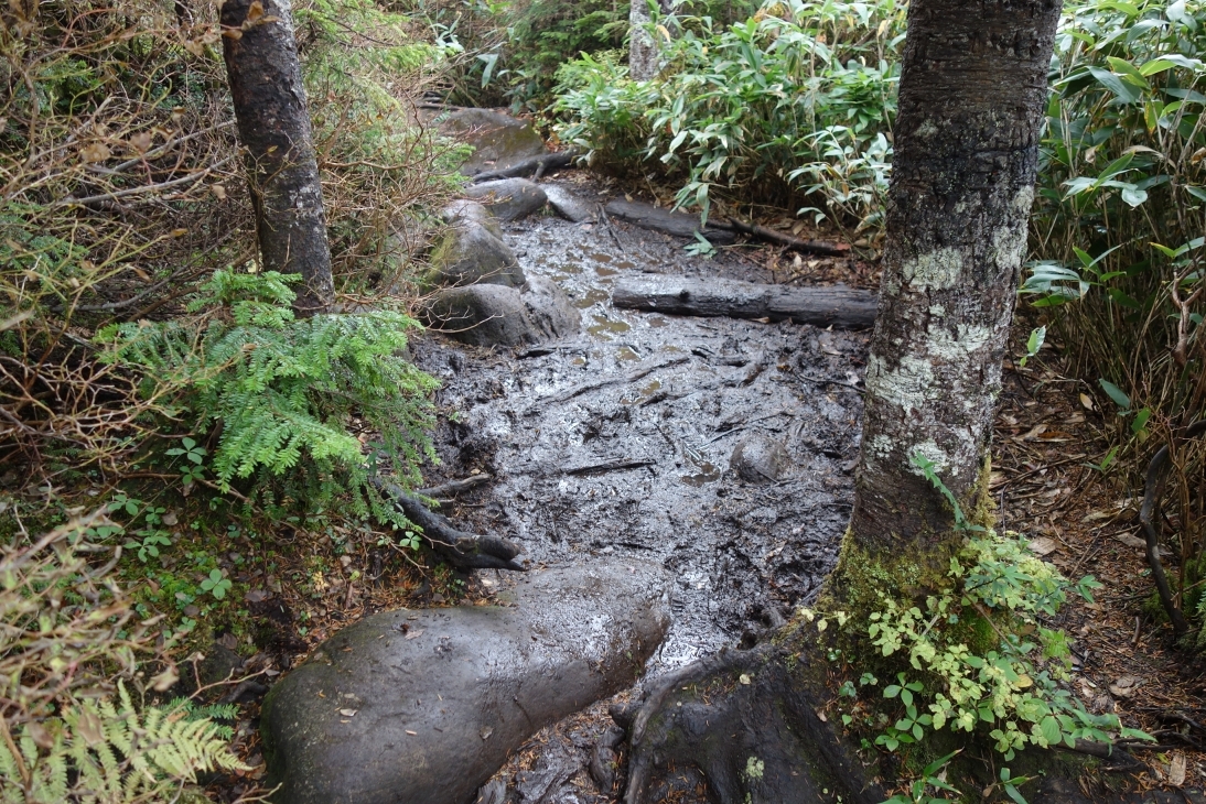 ぬかるむ箇所があります