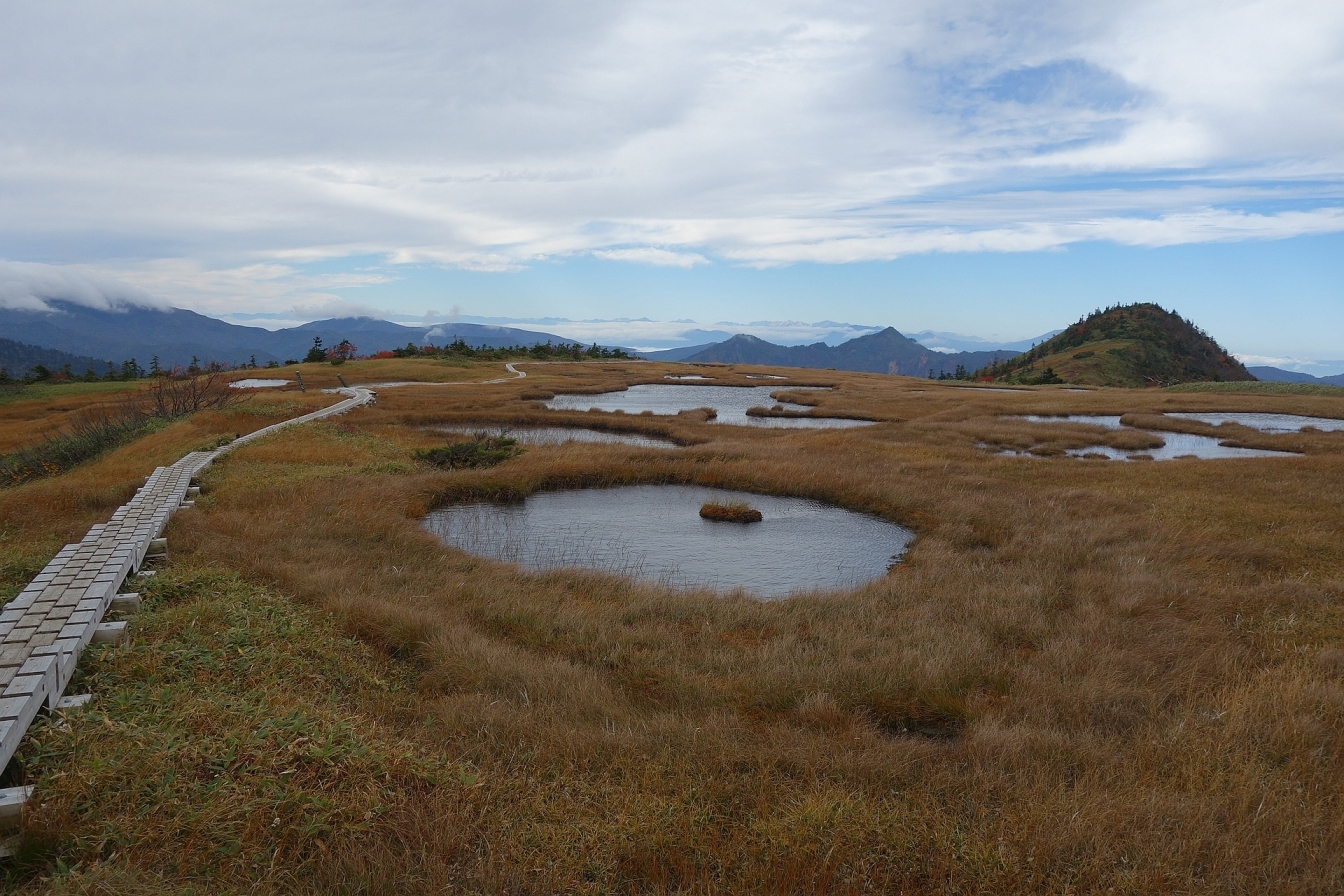 苗場山山頂部の景観