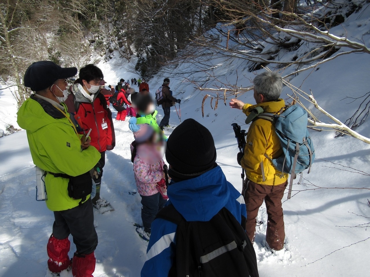 (「これ何だろう?」木からぶら下がっていた枯れ葉を観察)