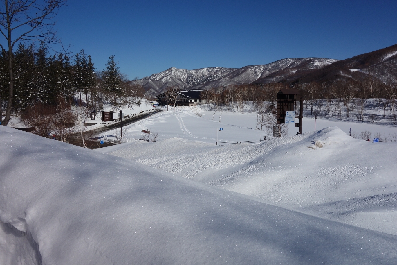 事務所から蓮池方面を望む