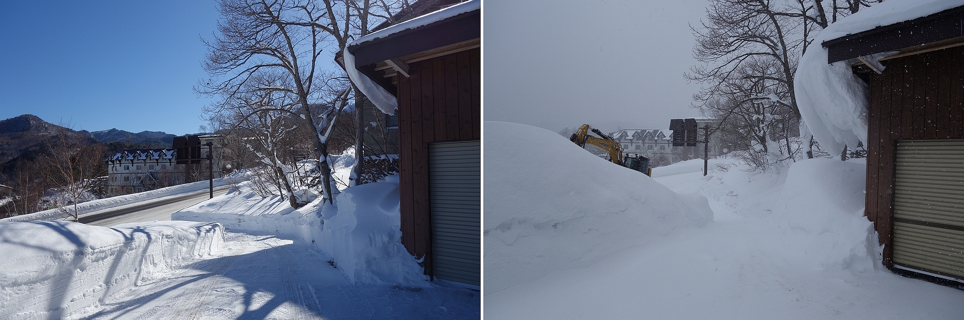 j事務所の進入路の写真。今年の2月6日と昨年の1月27日を並べる。