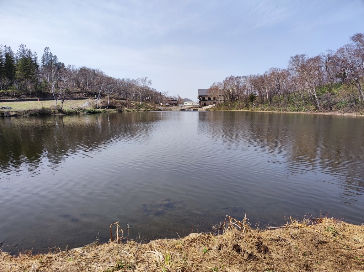 蓮池の遊歩道から蓮池を望む