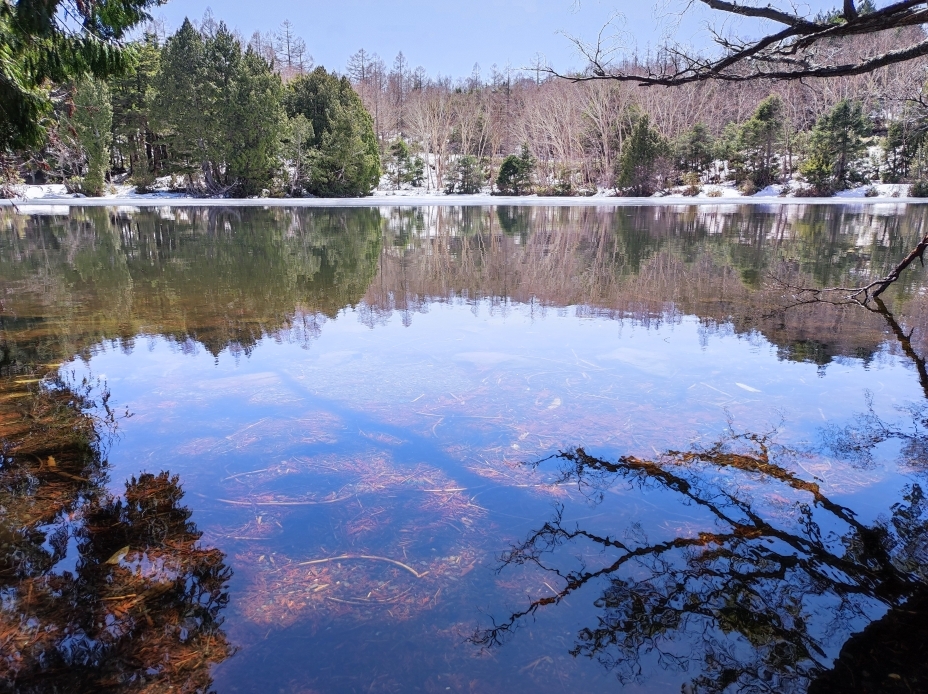 三角池。写真奥のほうには雪が残っている。