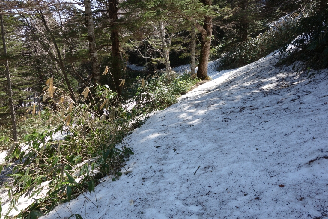 池めぐりコースの残雪
