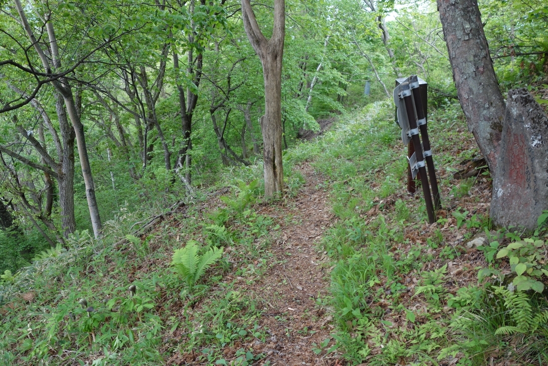 20番の近くの道の分かりにくい箇所