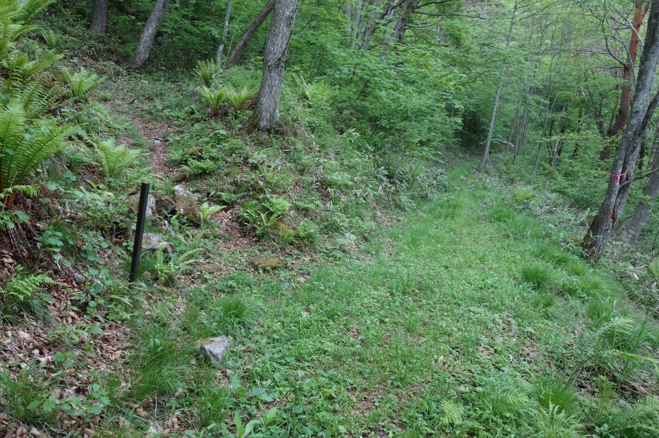 13番と14番の間の道の分かりづらい箇所