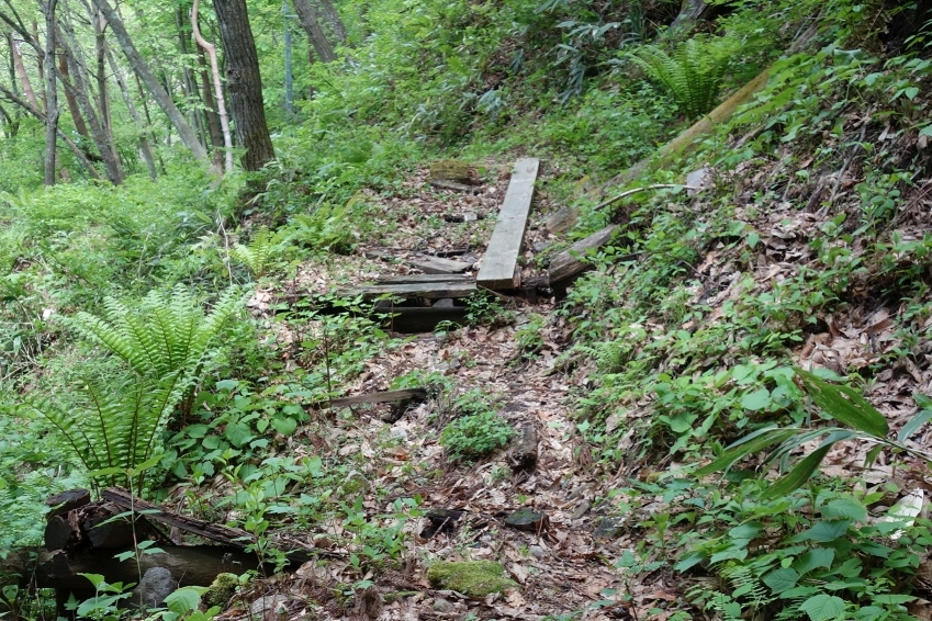 橋が破損し板を渡してある箇所