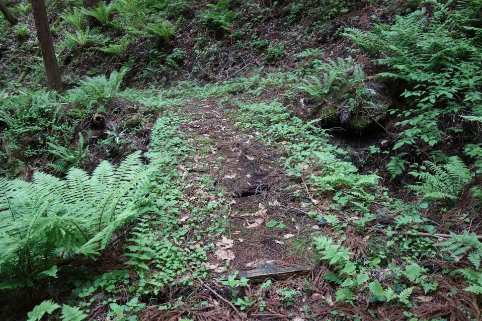 橋が破損して穴が開いている箇所
