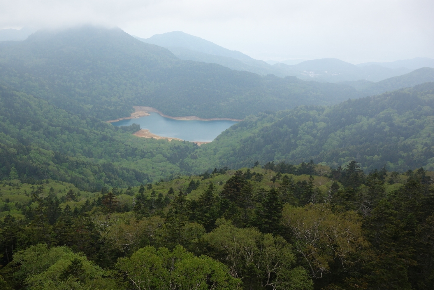 赤石山山頂から大沼池を望む
