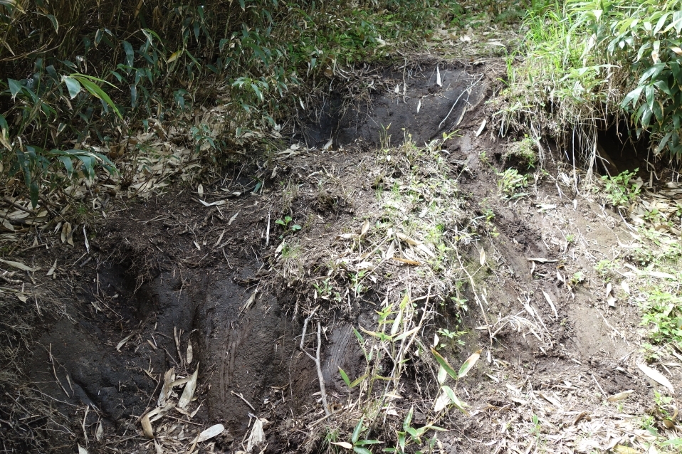 段差が大きい場所