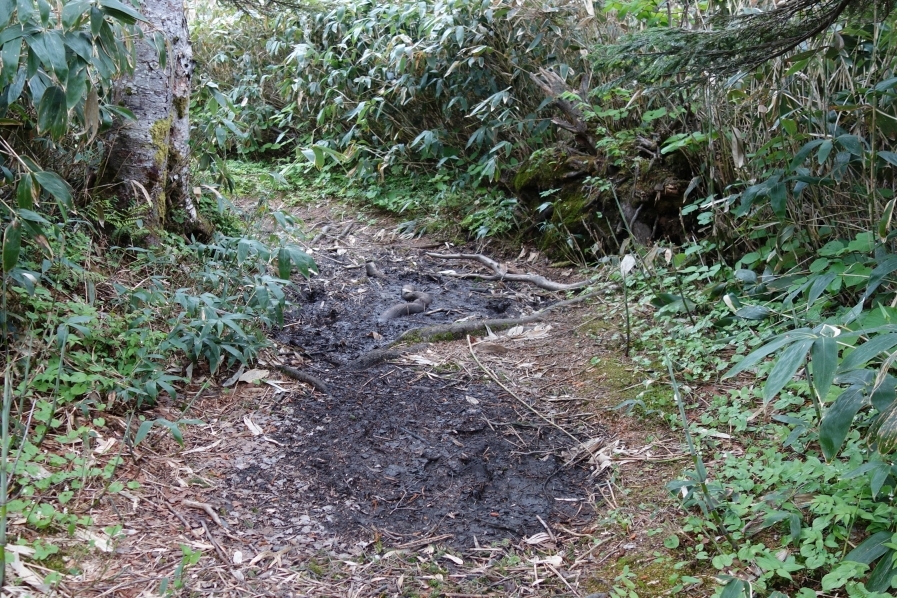 ぬかるむところがある