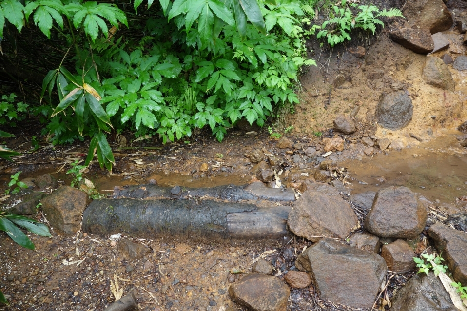 歩道外への排水が機能している