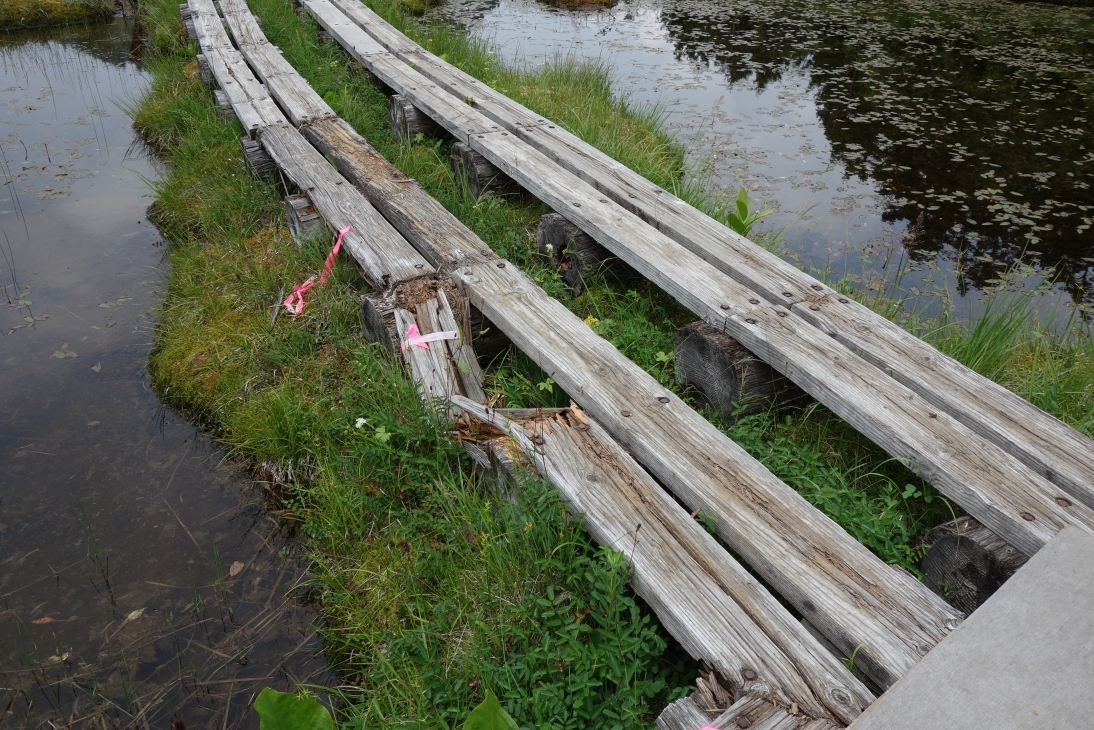木道が折れている箇所
