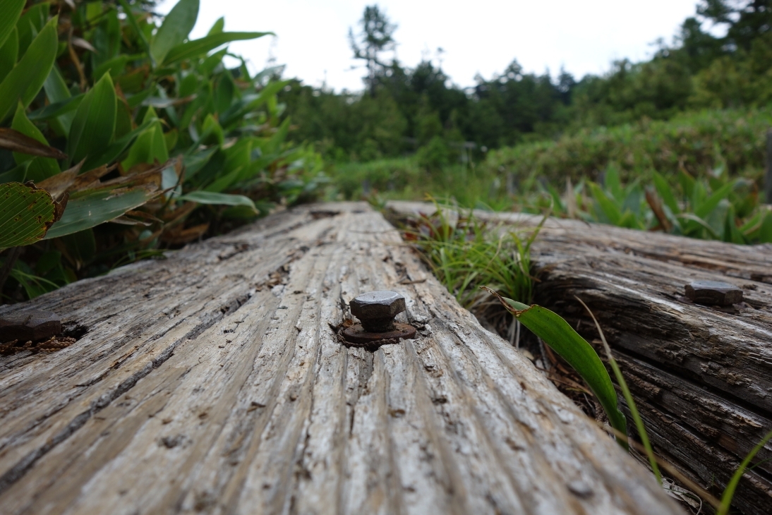 木道を固定するボルトが踏面よりも飛び出している