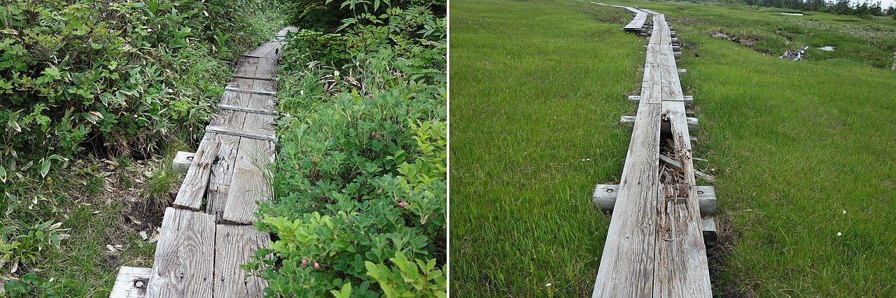 破損している木道