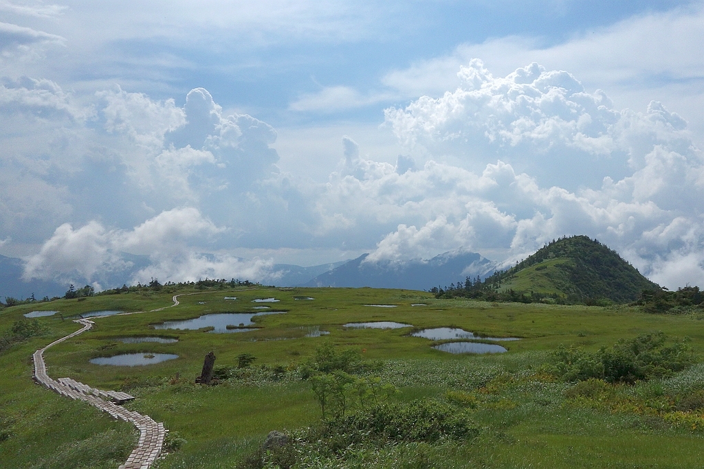 坪場付近の湿原