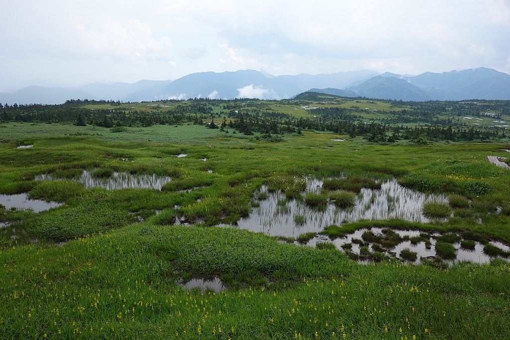 山頂部に湿原が広がる