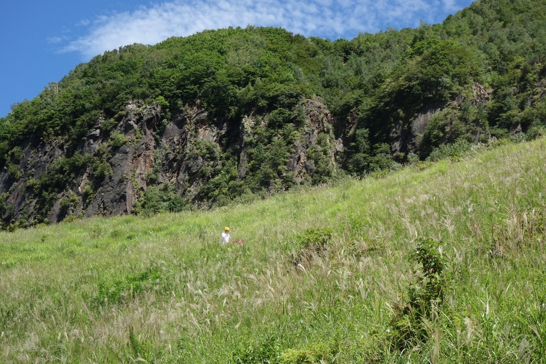 鉱山跡地の斜面の草刈り