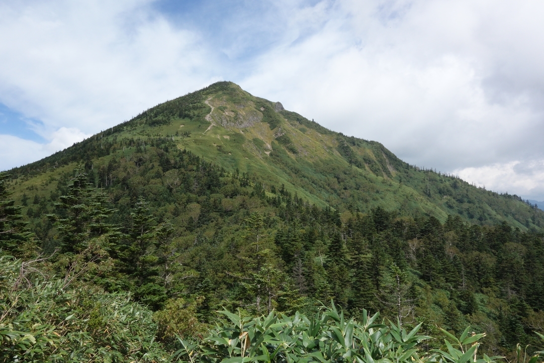 岩菅山山頂部を望む