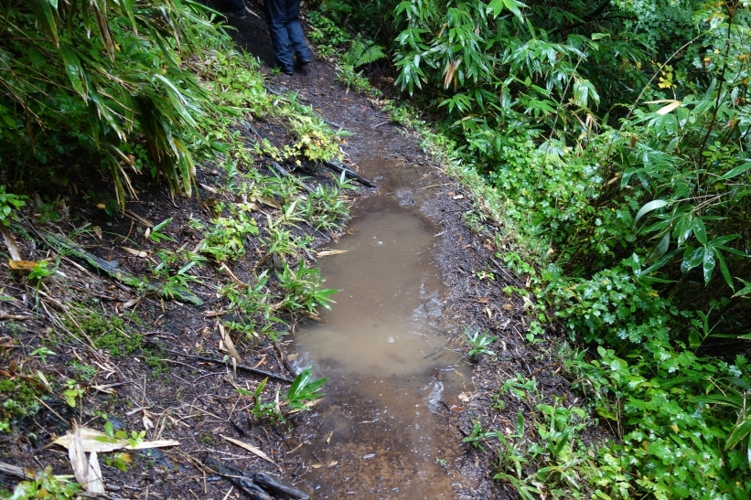 登山道の水たまり