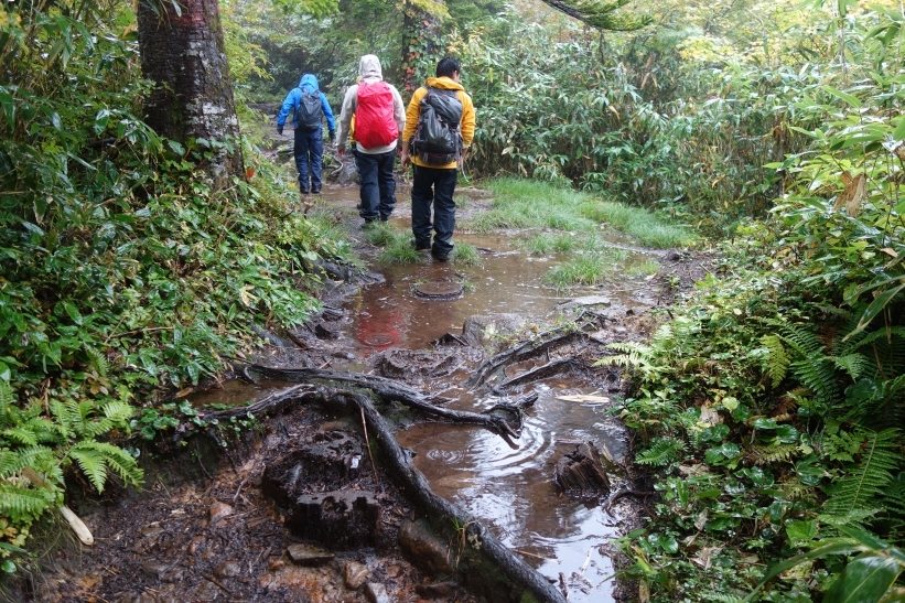 登山道の水たまり