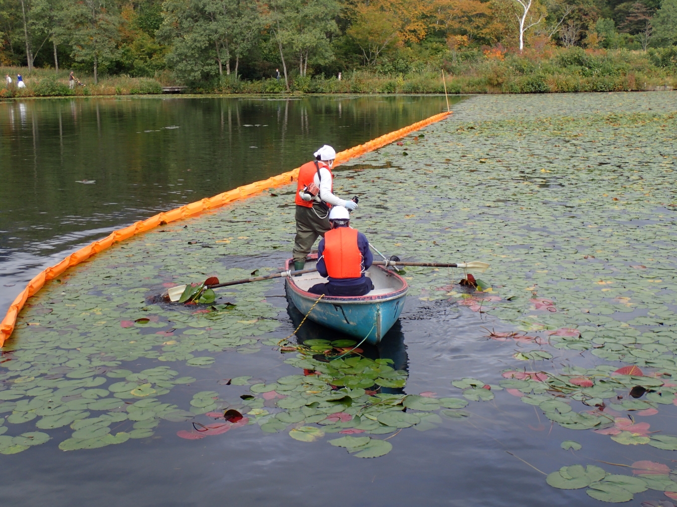 草刈り機で作業