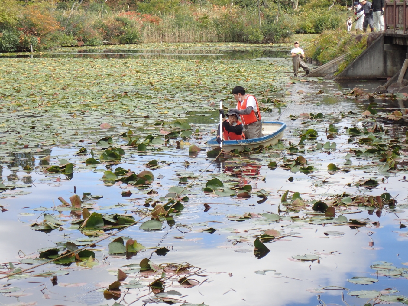 ジョレンで作業