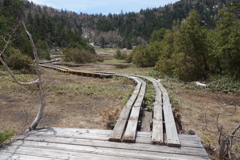 春浅い四十八池湿原