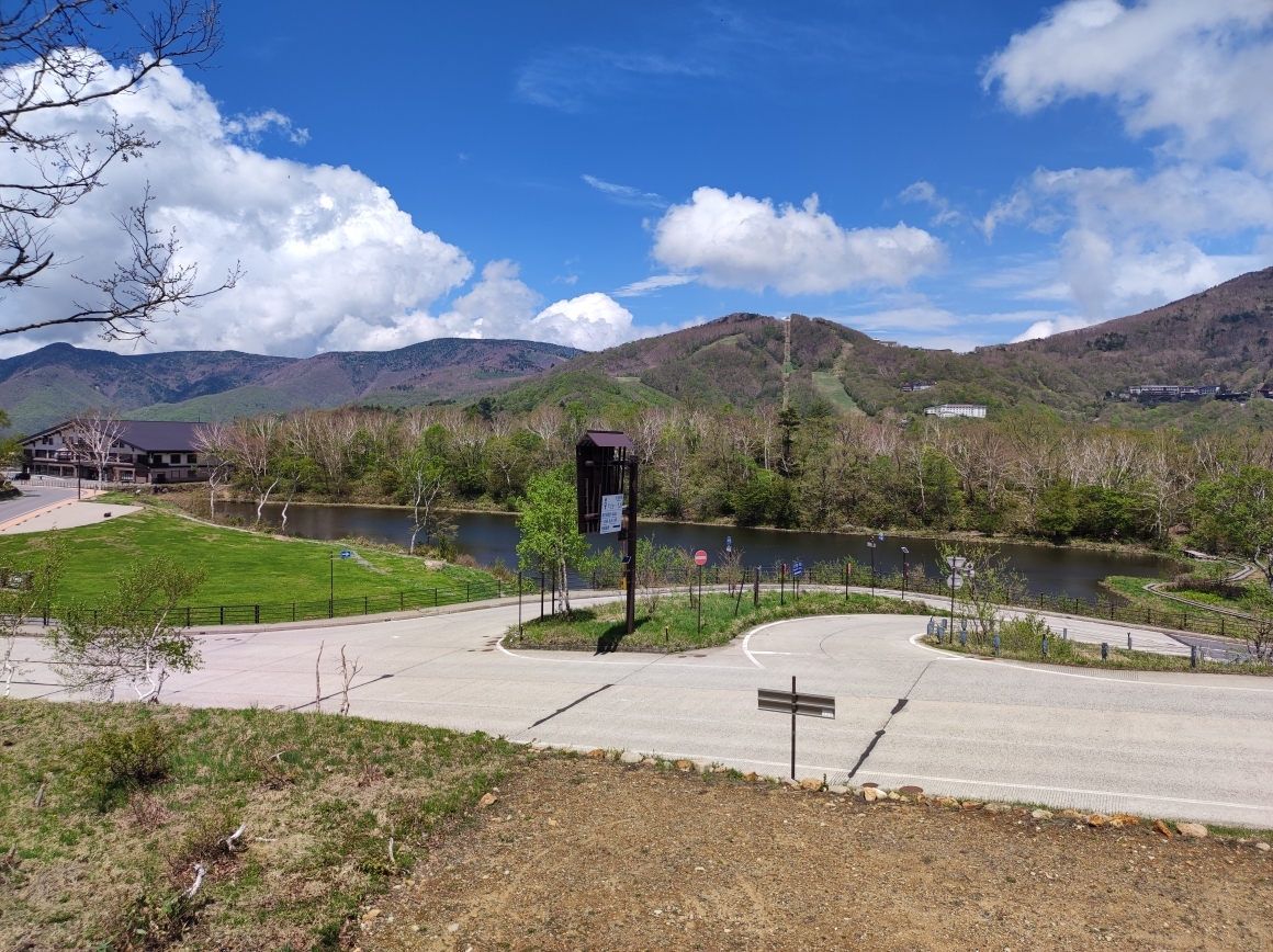 蓮池では周辺の木々は葉を広げ始めています