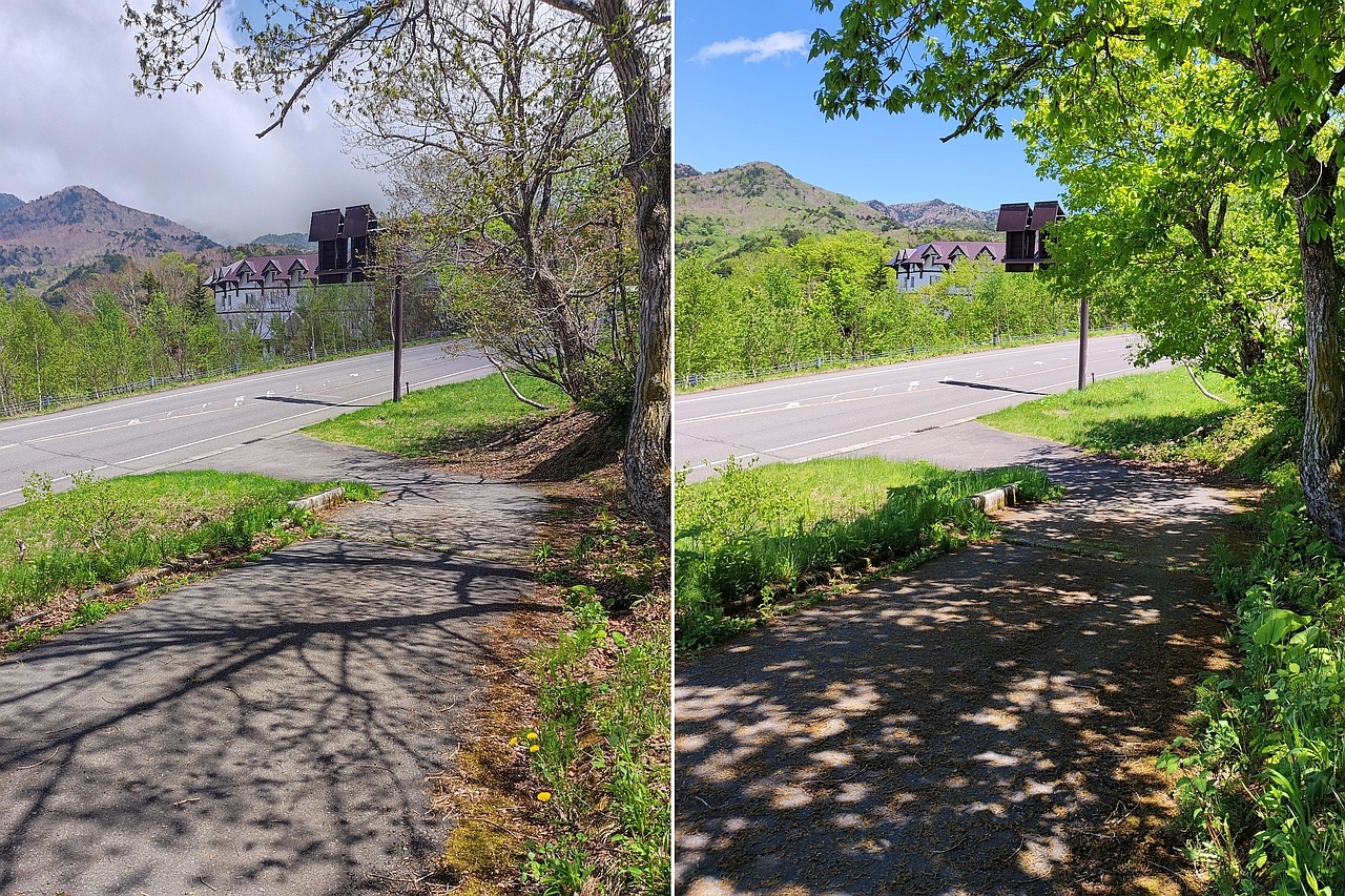 事務所への進入路の木陰