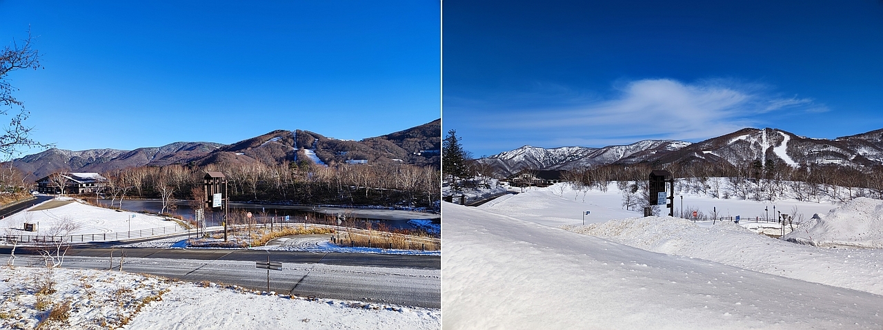 12月2日に撮影した写真と2月15日に撮影した写真