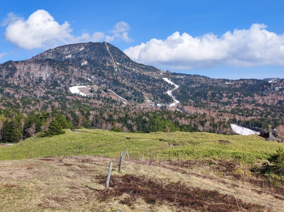 前山山頂から横手山を望む