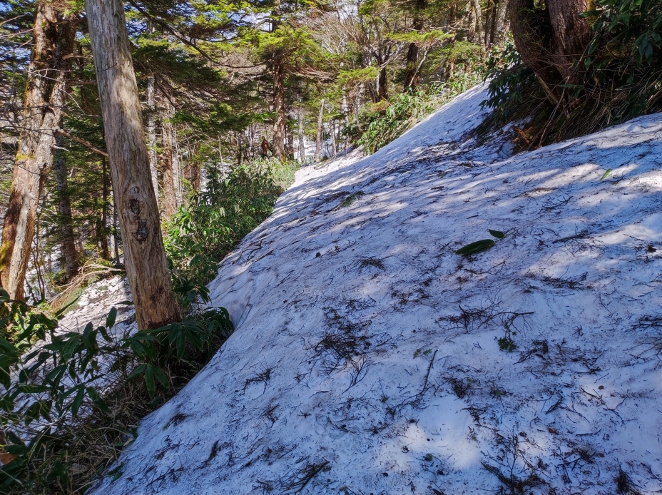 i池めぐりコースの積雪