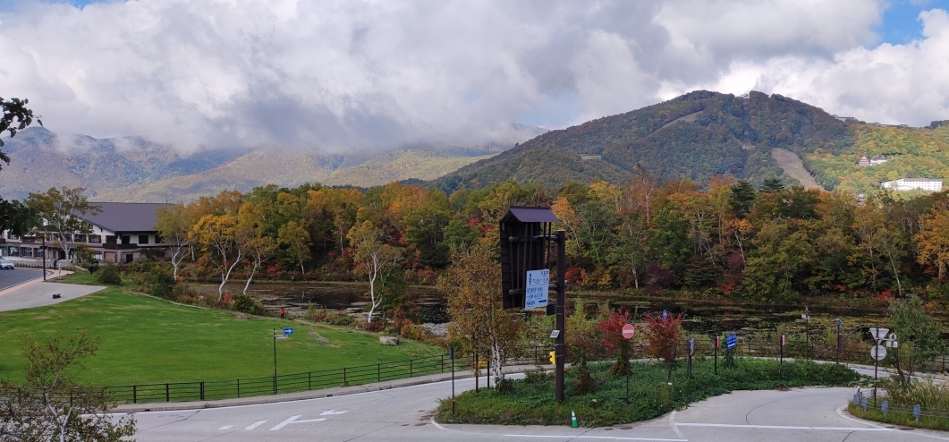 10月15日に事務所の駐車スペースから蓮池方面を撮影した写真