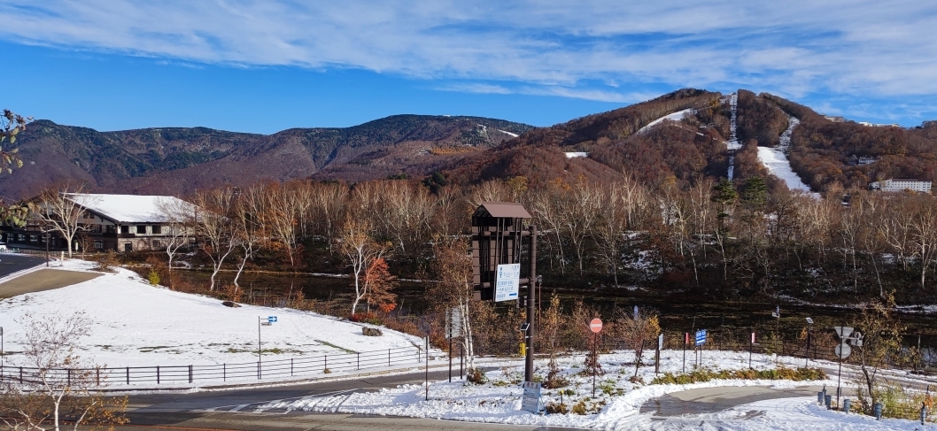 11月5日に事務所の駐車スペースから蓮池方面を撮影した写真