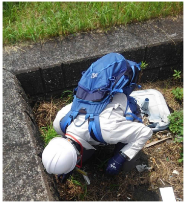 本日の調査の様子