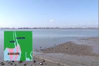 写真:【映像1】生きものと季節の変化-藤前干潟-1