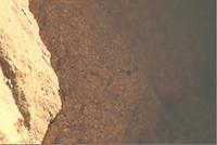 写真:【映像2】堀川で生き物を観察しよう2