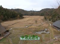 写真:【映像1】中池見湿地の豊かな生物多様性1