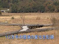 写真:【映像1】中池見湿地の豊かな生物多様性2