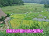 写真:【映像2】中池見湿地を守るために2