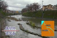 写真:【映像1】伏見川と森のつながり1